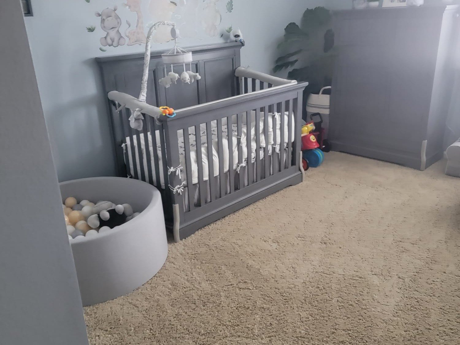 Solano's Cleaning Services